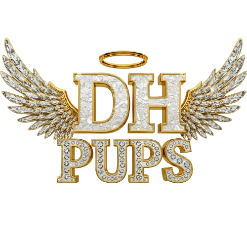 DH PUPS