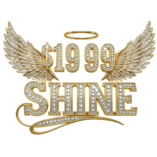 $19.99  Shine